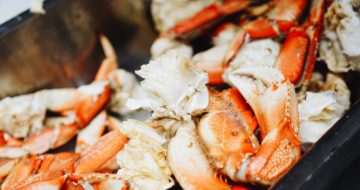 marie-france-latour-v9_9mjOXxls-unsplash